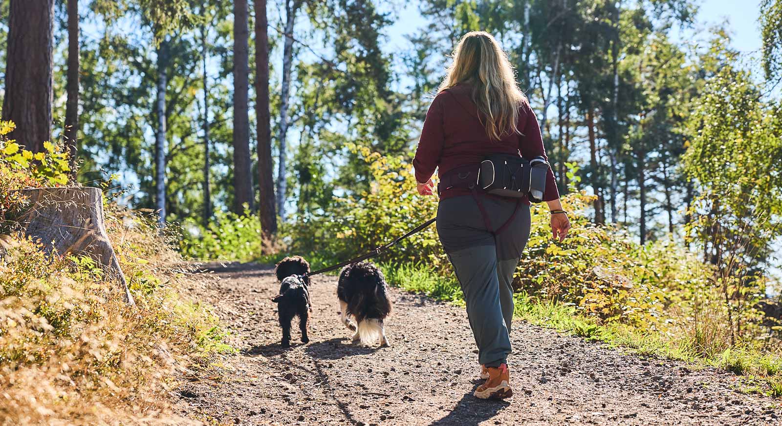 Non-Stop Dogwear Belt Bag - Black/Grey 