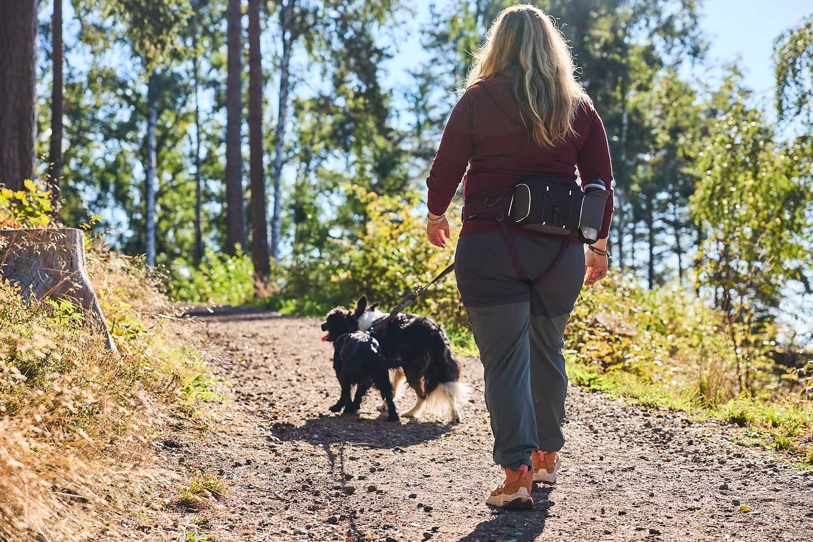 Non-Stop Dogwear Belt Bag - Black/Grey 