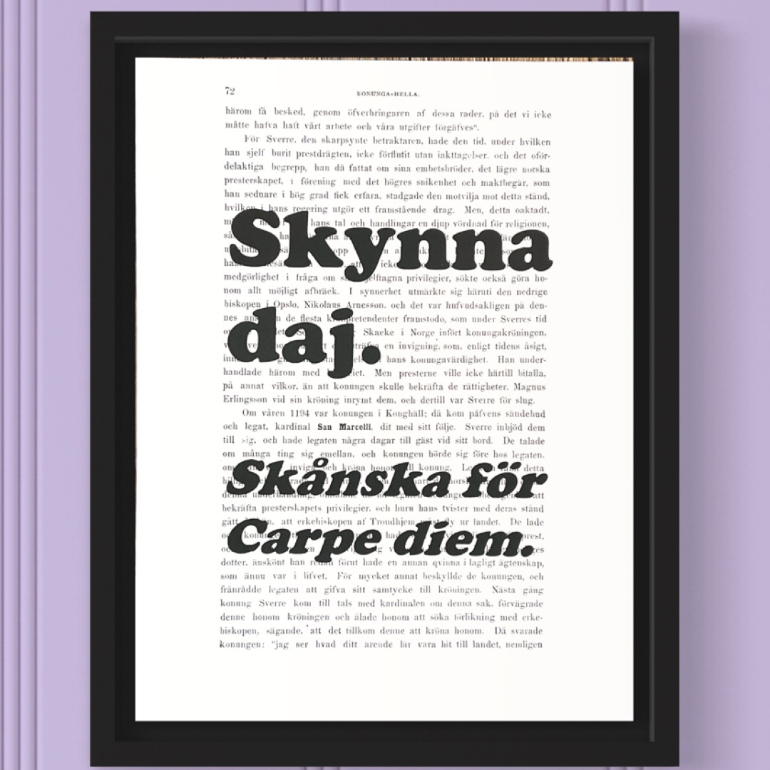 Tavla med texten Skynna daj.