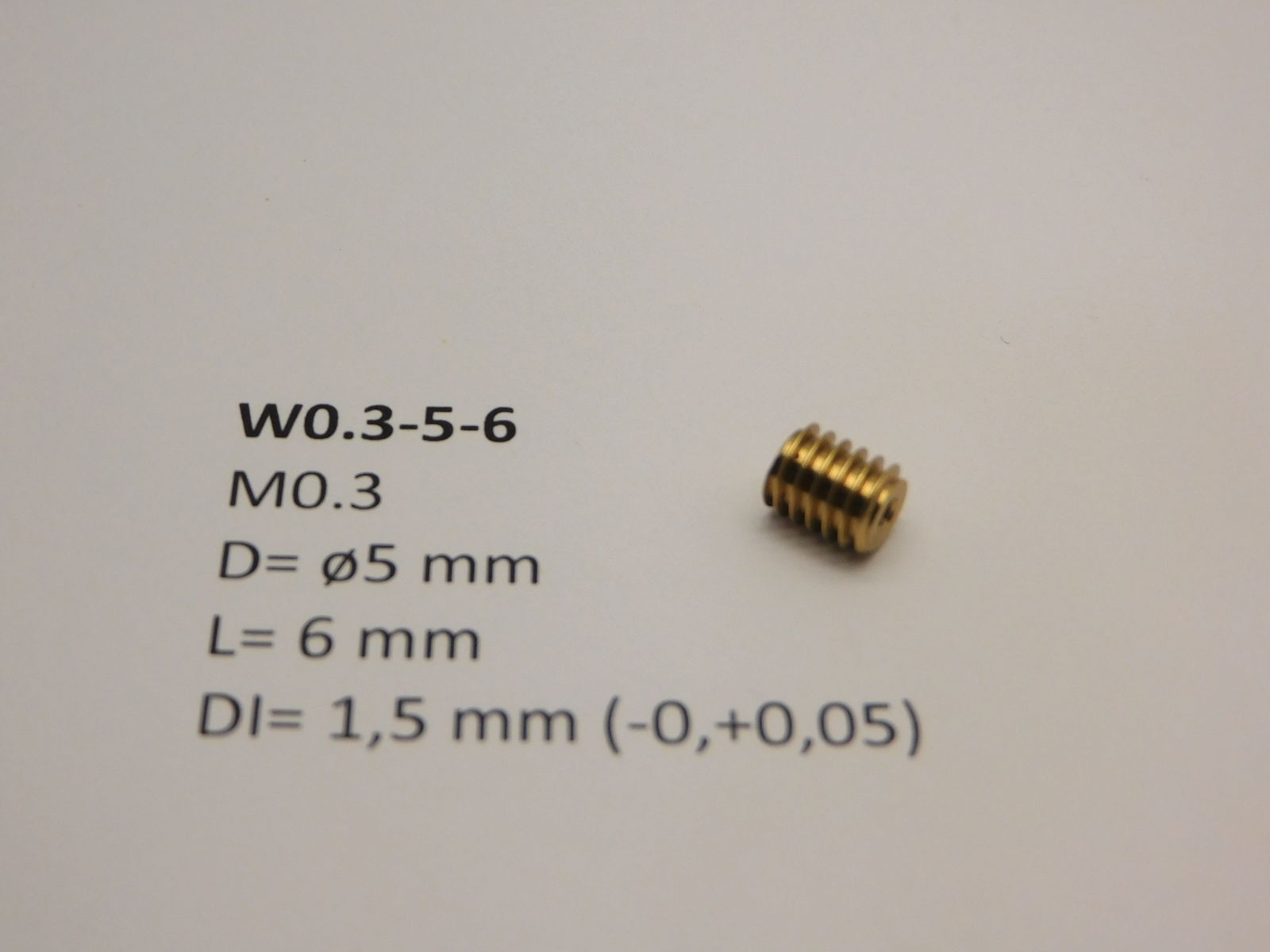 Snäckdrev M0.3 D=ø5 L=6 DI=1.5