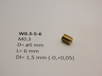 Snäckdrev M0.3 D=ø5 L=6 DI=1.5