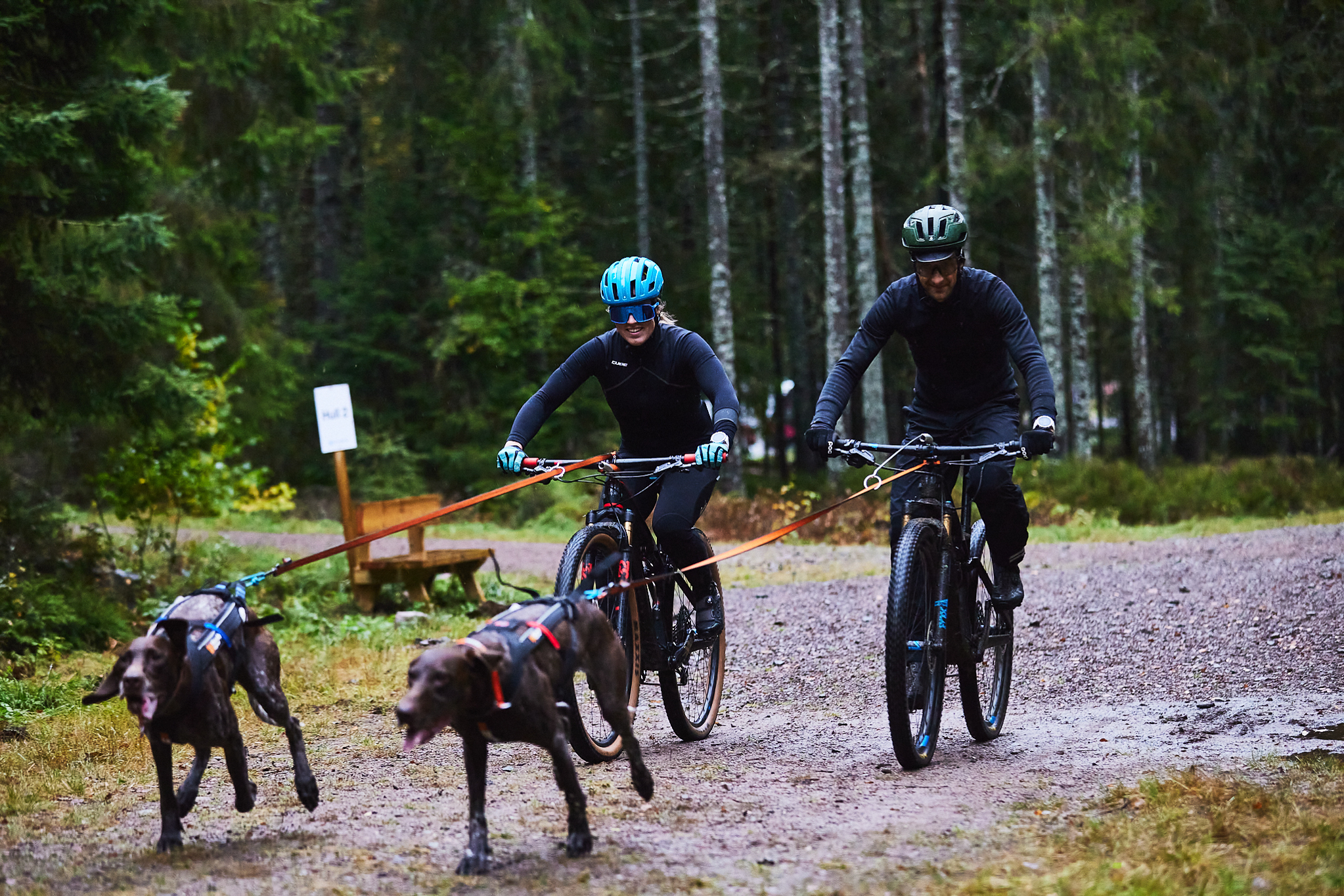 Non-Stop Dogwear Bike Antenna 