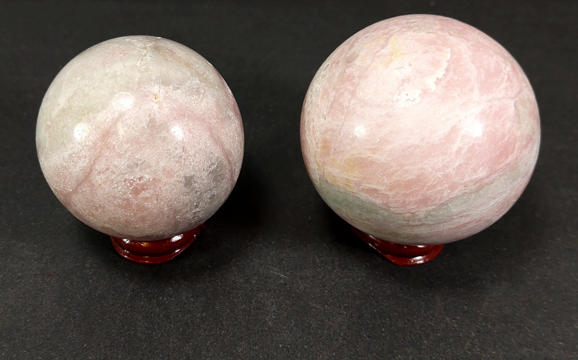 Rosa Opal Klot - 2