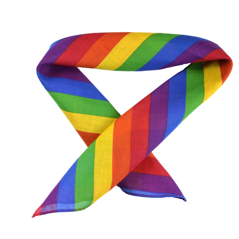 Pride Taschentuch - Pride Halstuch - 5