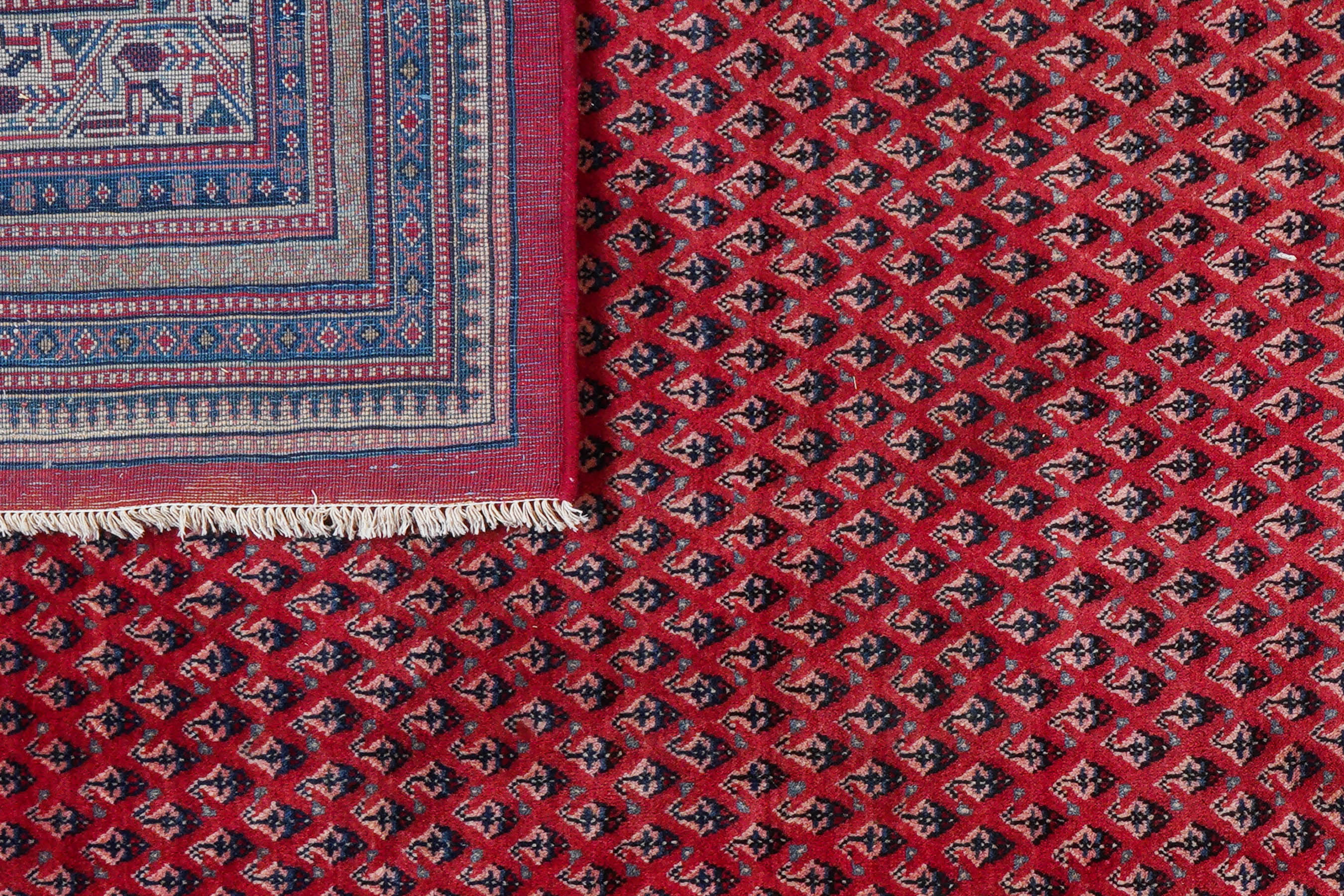 Sarouk Mir 214x316cm - 5
