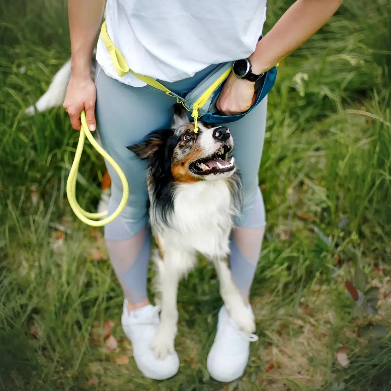 Woolly Wolf hip bag - made of recycled material - 2