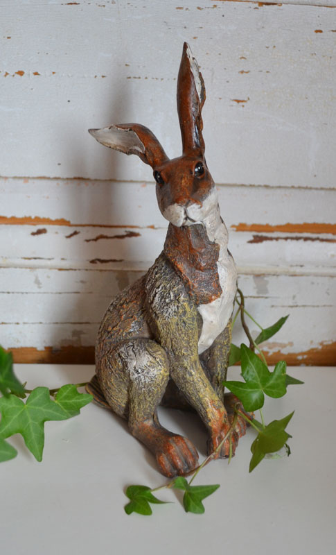 Brun hare
