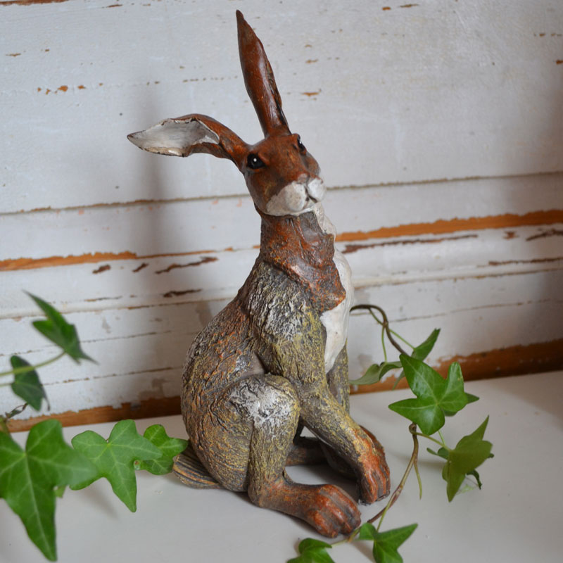Brun hare