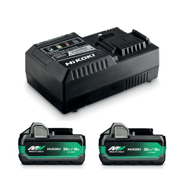 Batteriset 2XBSL36A18X/LADDARE