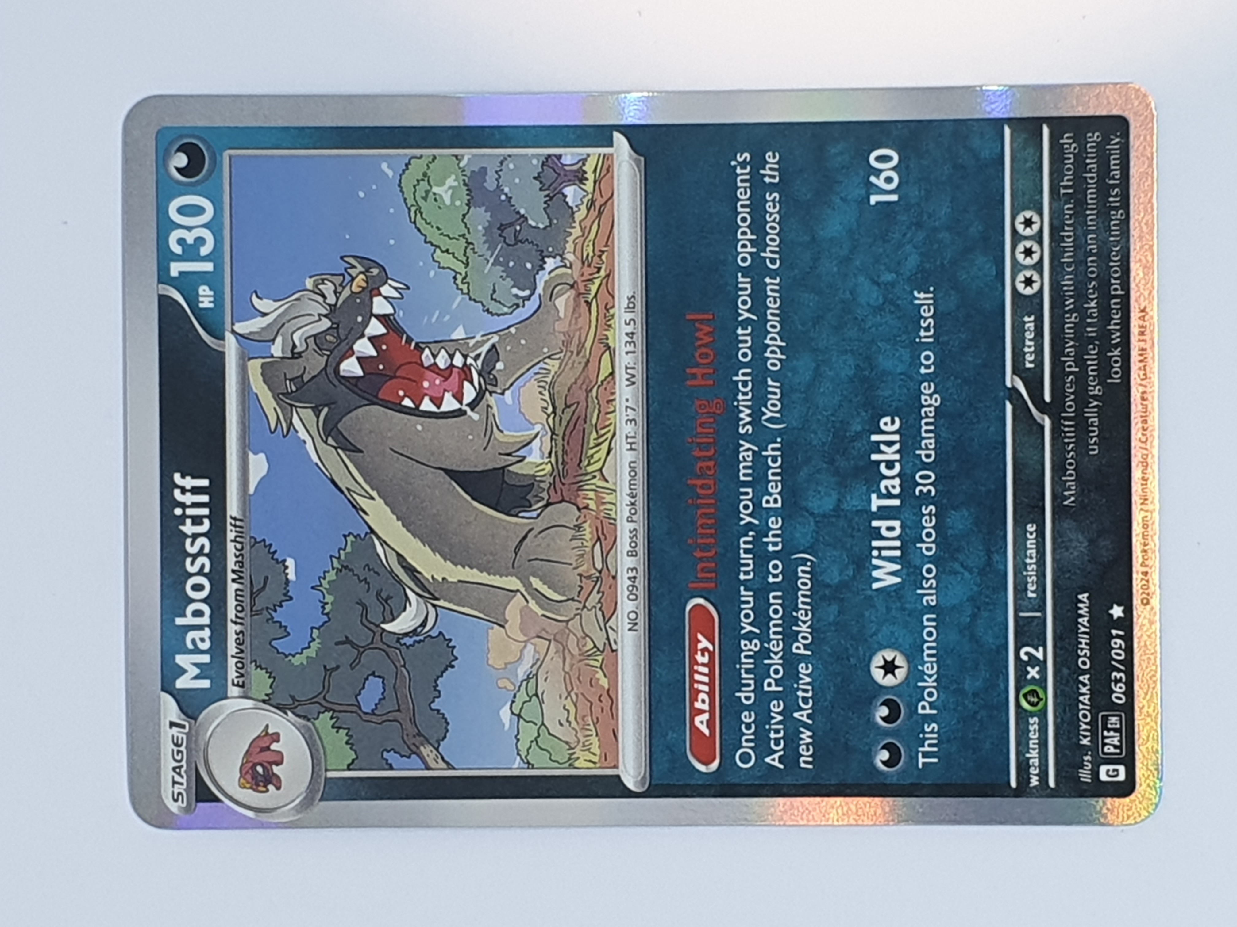 Mabosstiff 063/091 Holo Rare - Scarlet & Violet - Paldea Fates (NM-Mint)