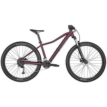 Scott Contessa  Active 40