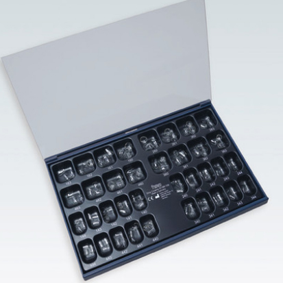 Frasaco Transparent Posterior Crowns, 1x108 pcs