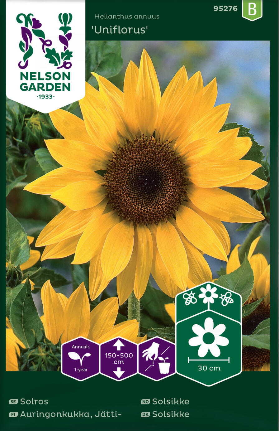 Solros Uniflorus