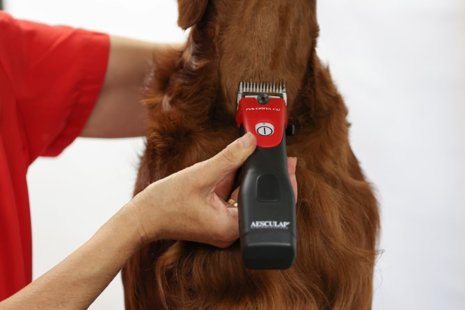 Aesculap Cordless Clipper Favorita CLi 2 Battery - Red