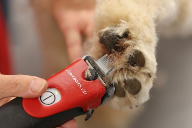Aesculap Cordless Clipper Favorita CLi 2 Battery - Red