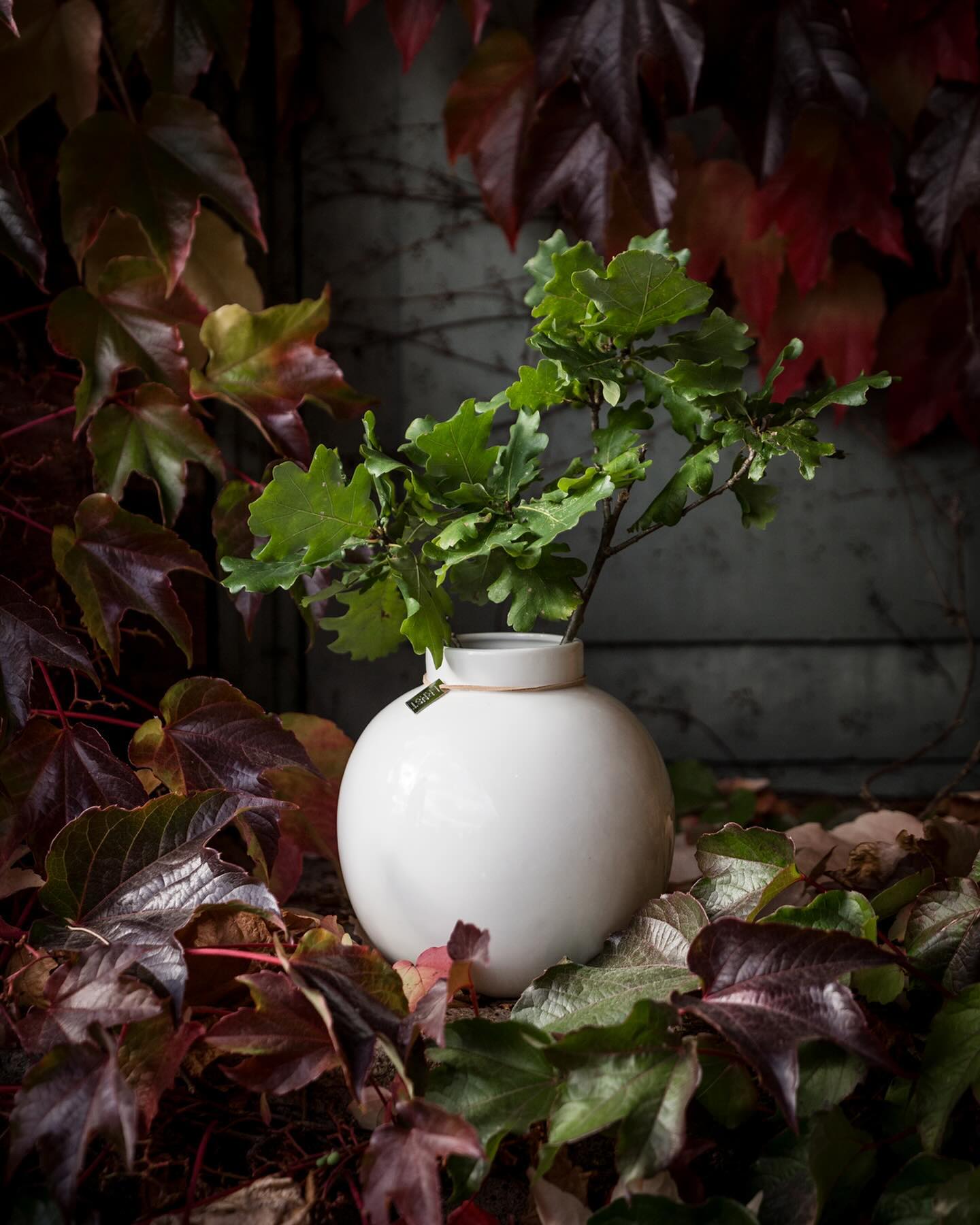 Ernst - Vase - Round - White - Stoneware - 13x14 cm