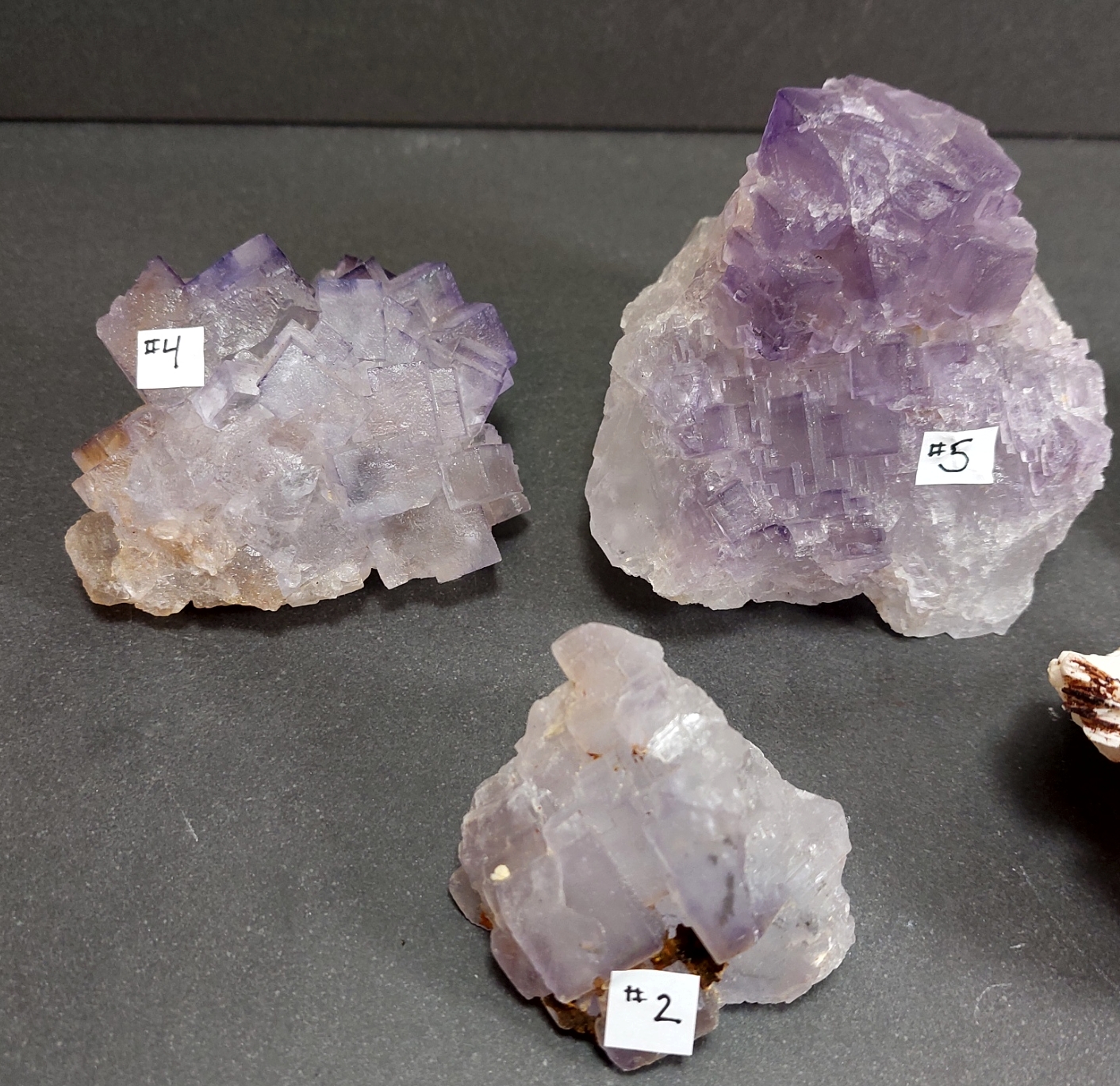Kubisk Lila  Fluorit Kluster  - "Castle Rune Flourite" - 3