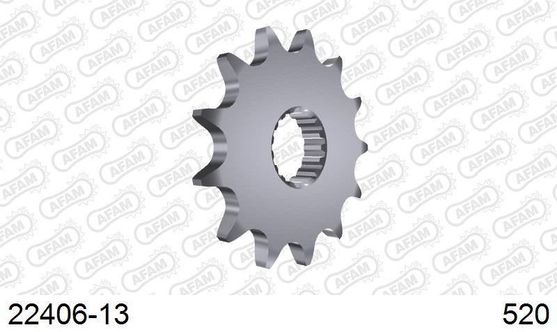 Afam Framdrev 13Kugg Suzuki RMZ450 2005-2012