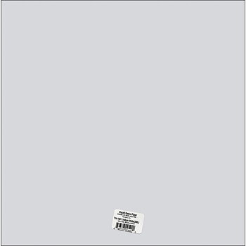 Bazzill - Vellum 12x12 - White 29lb