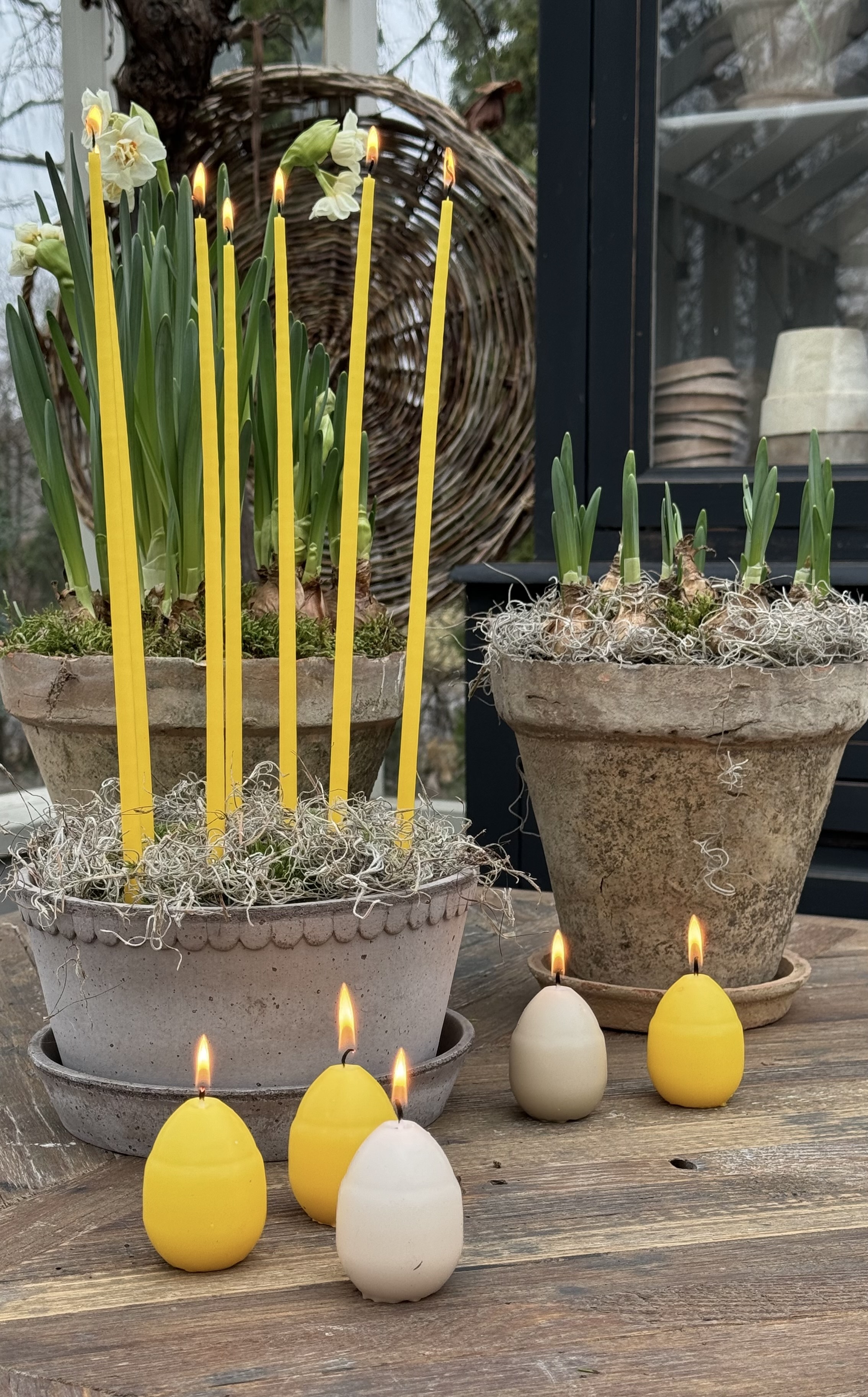 Candle - Egg candle - Life-size hen's egg - Easter yellow - 7 cm - 18