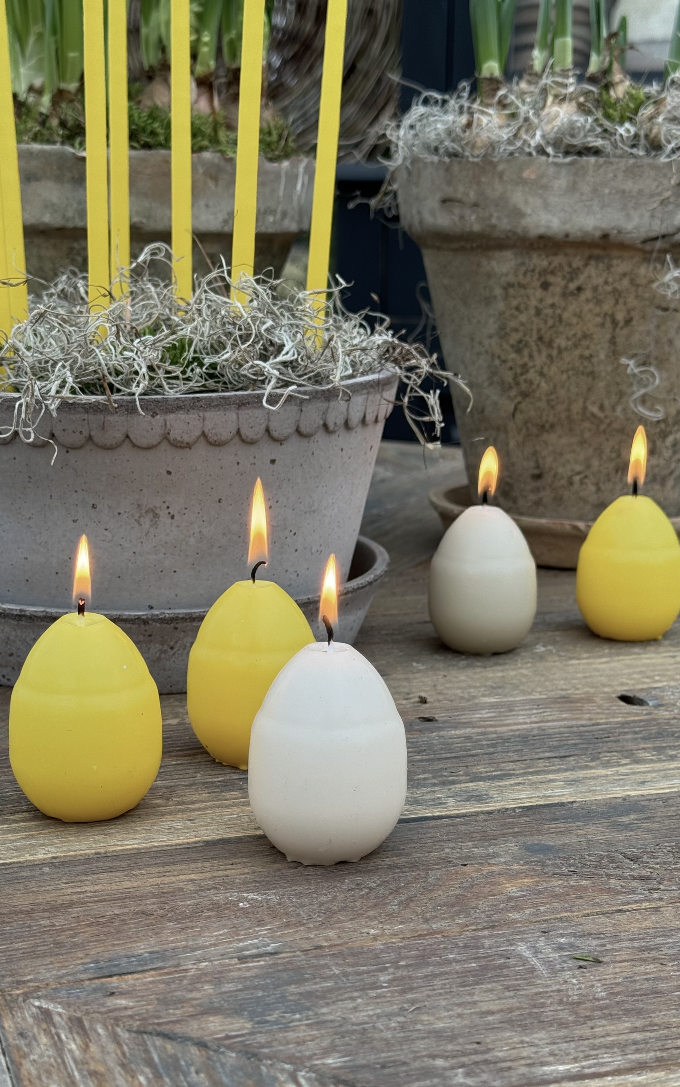 Candle - Egg candle - Life-size hen's egg - Easter yellow - 7 cm - 17