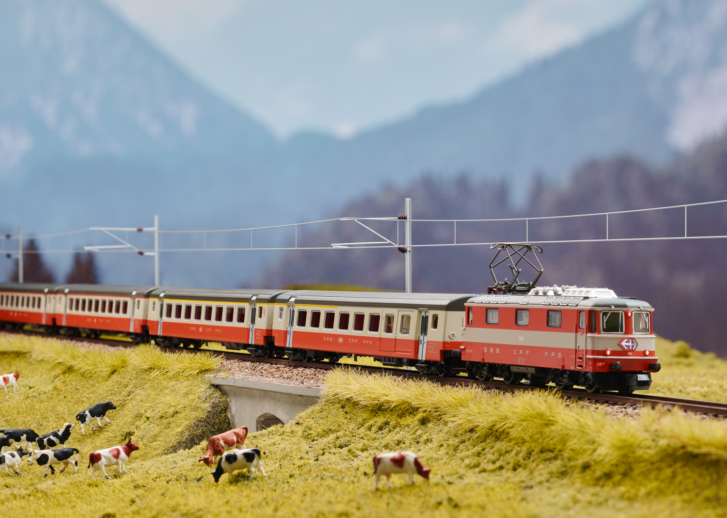 E-Lok Re 11141 Swiss Exp.SBB - 2