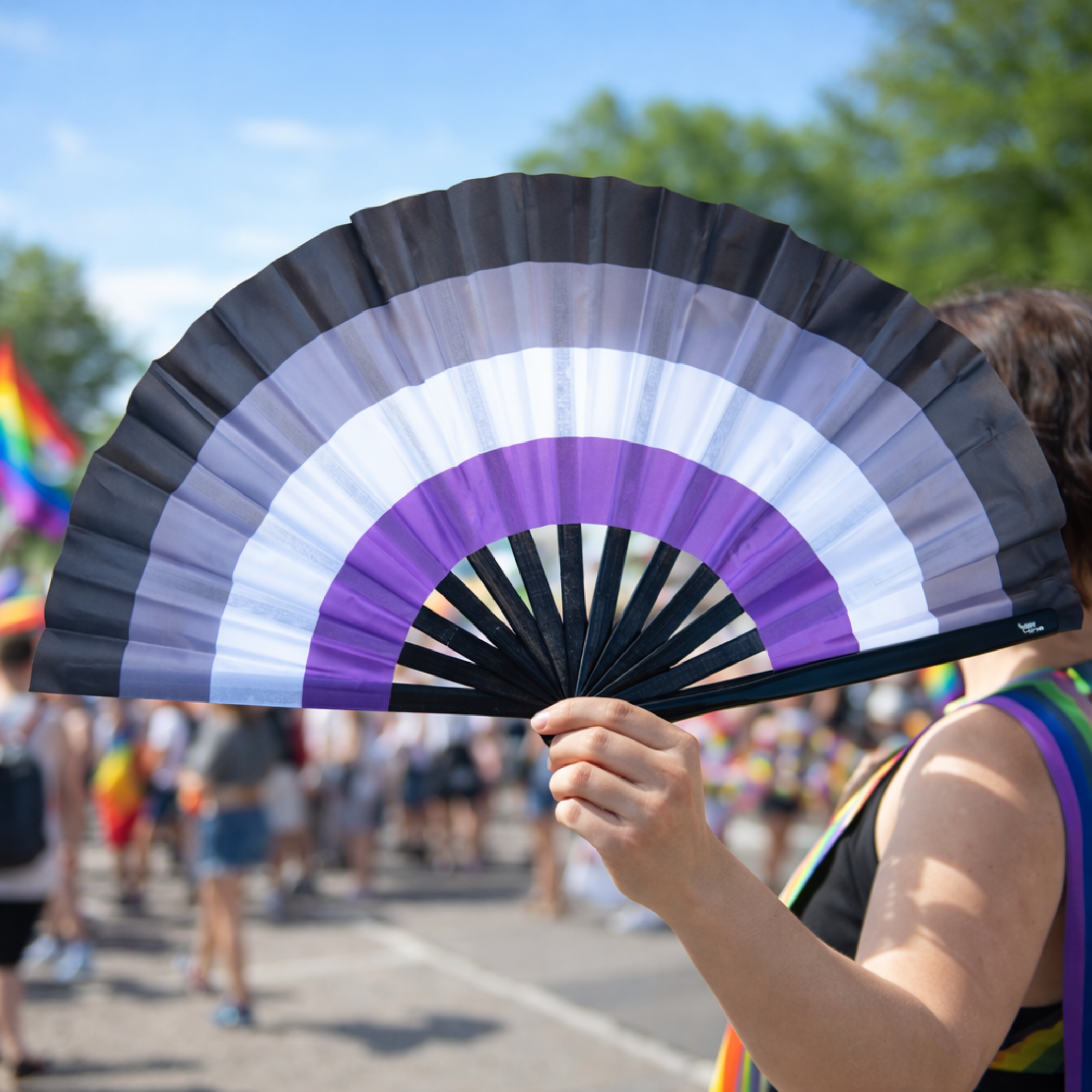 Großer Fächer Asexuelle Fahne - 5