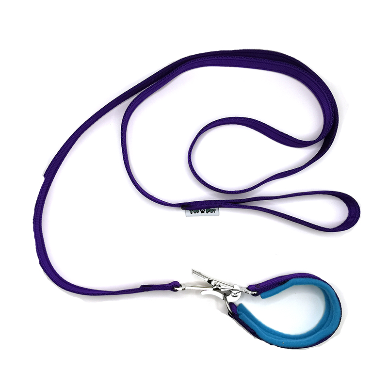 Leash/collar with quick release - 2