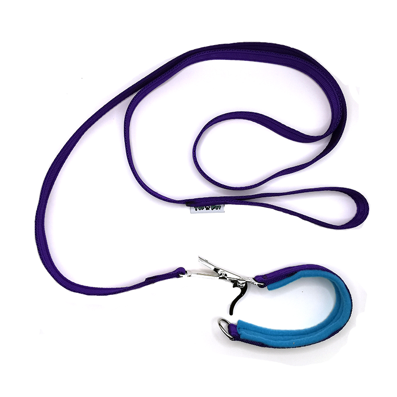 Leash/collar with quick release - 3