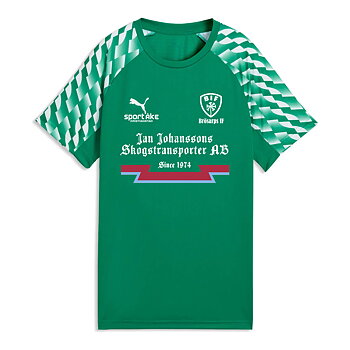 Puma TeamLiga 26 Jersey SR (Brösarps IF)