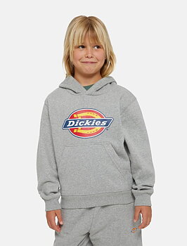 Dickies Icon hoodie barn grå