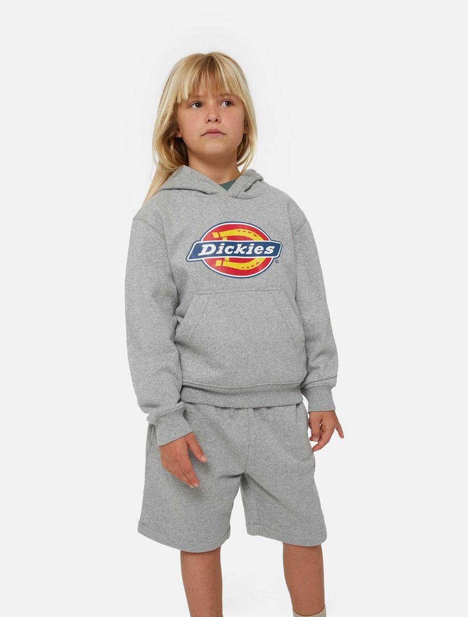 Dickies Icon hoodie barn grå - 4