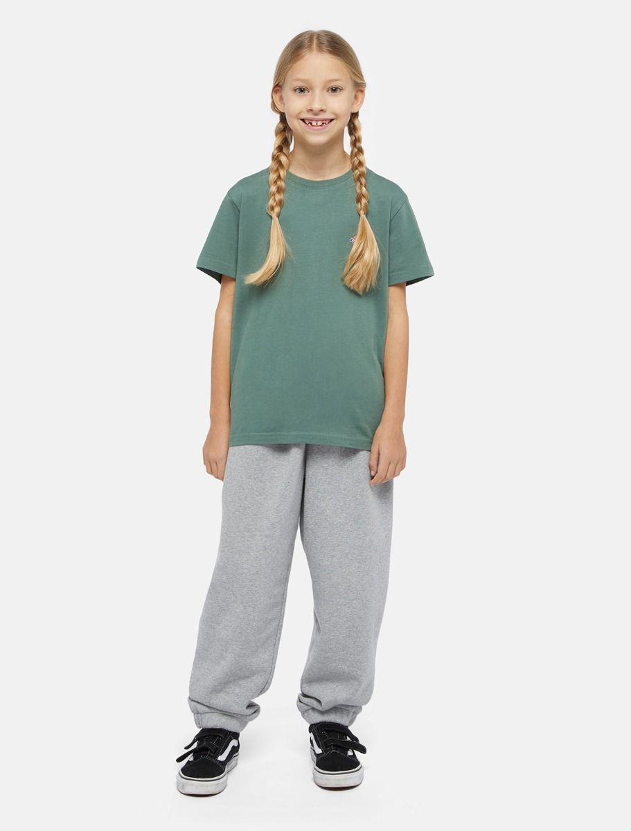 Dickies Icon joggingbyxor barn-tonåring  grå - 3