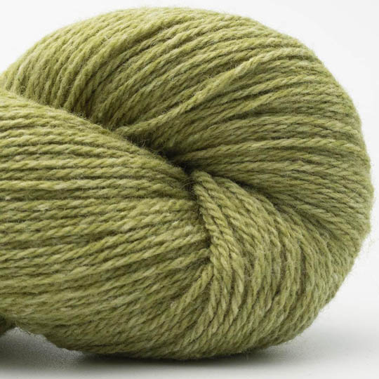 Lime 04
