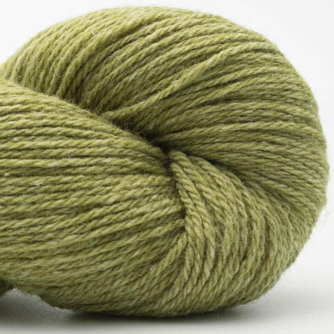 Lime 04