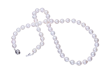 Halskette aus Akoya-Zuchtperlen in Standardqualität mit Verschluss aus Weißgold 6.5–7 mm