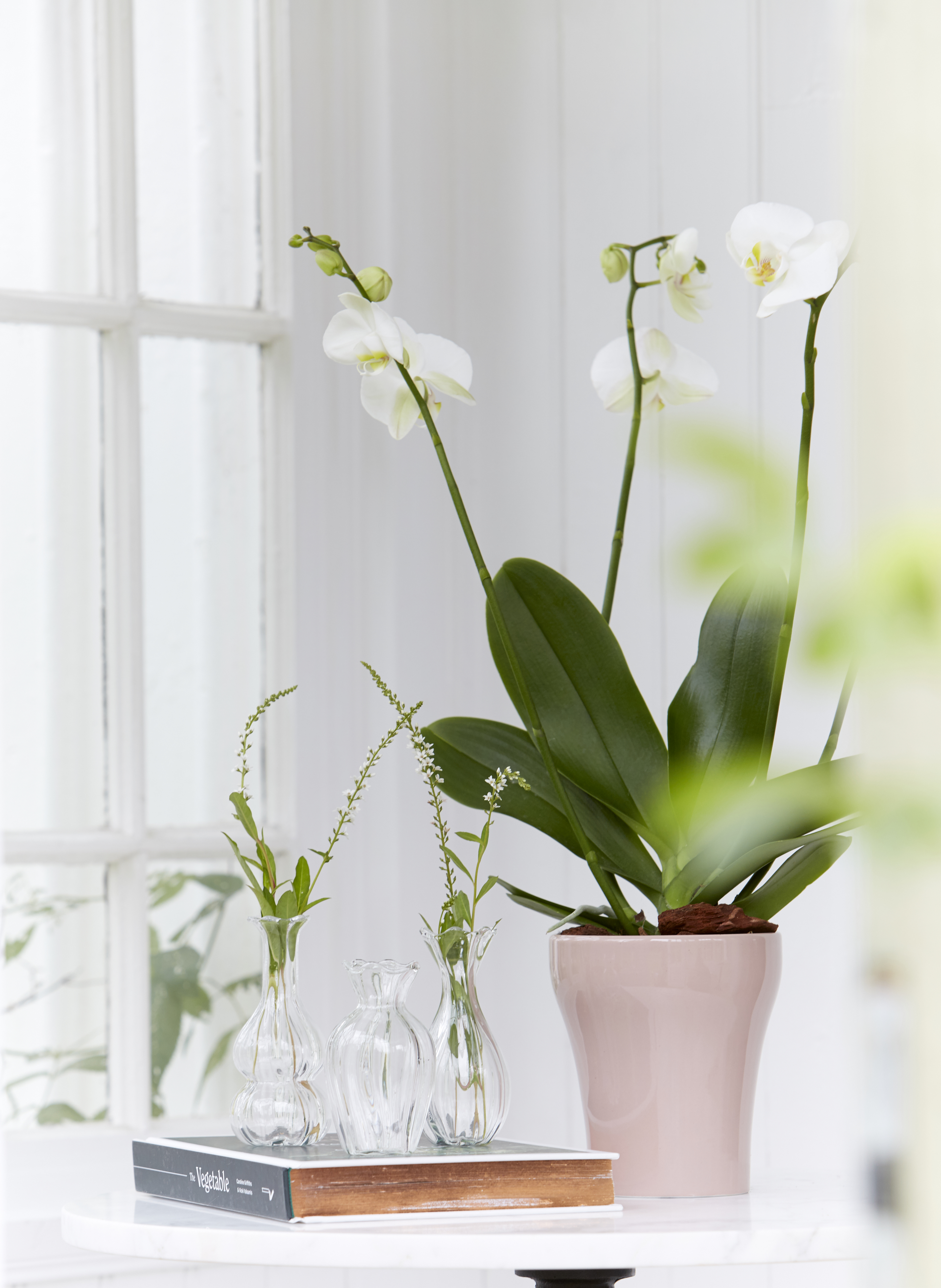 Glasvaser 3-pack - Vas - Klarglas  - 4