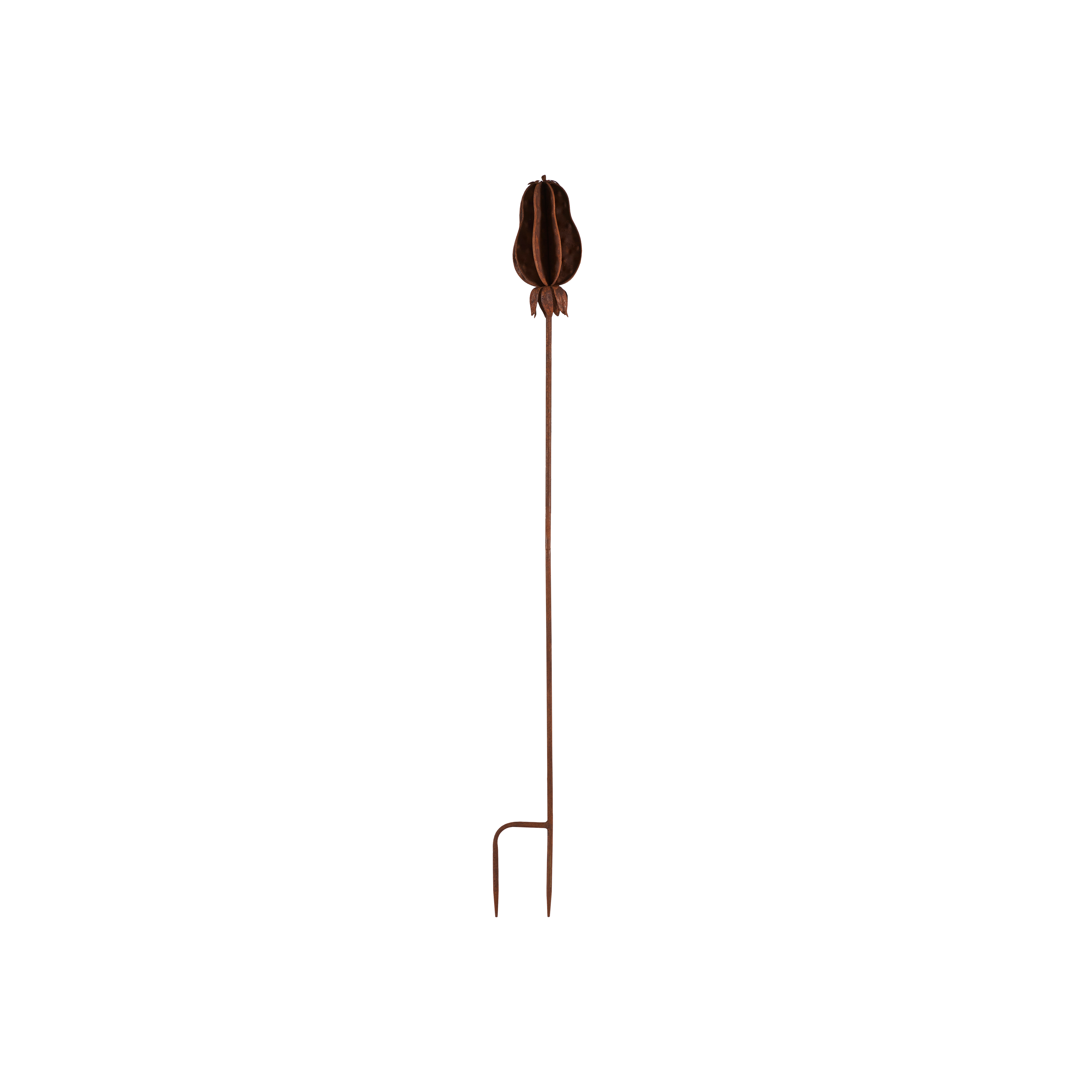 Sticks - Frökapsel - Järn - 10x100 cm - 3