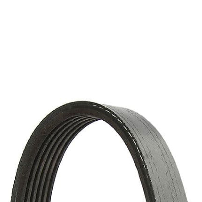 Drive belt (1)