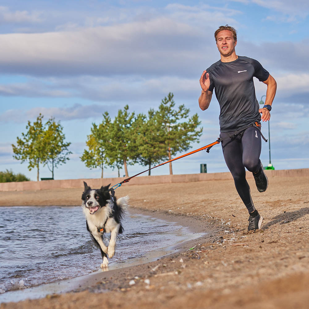 Non-Stop linlöping med hund bälte lina och sele