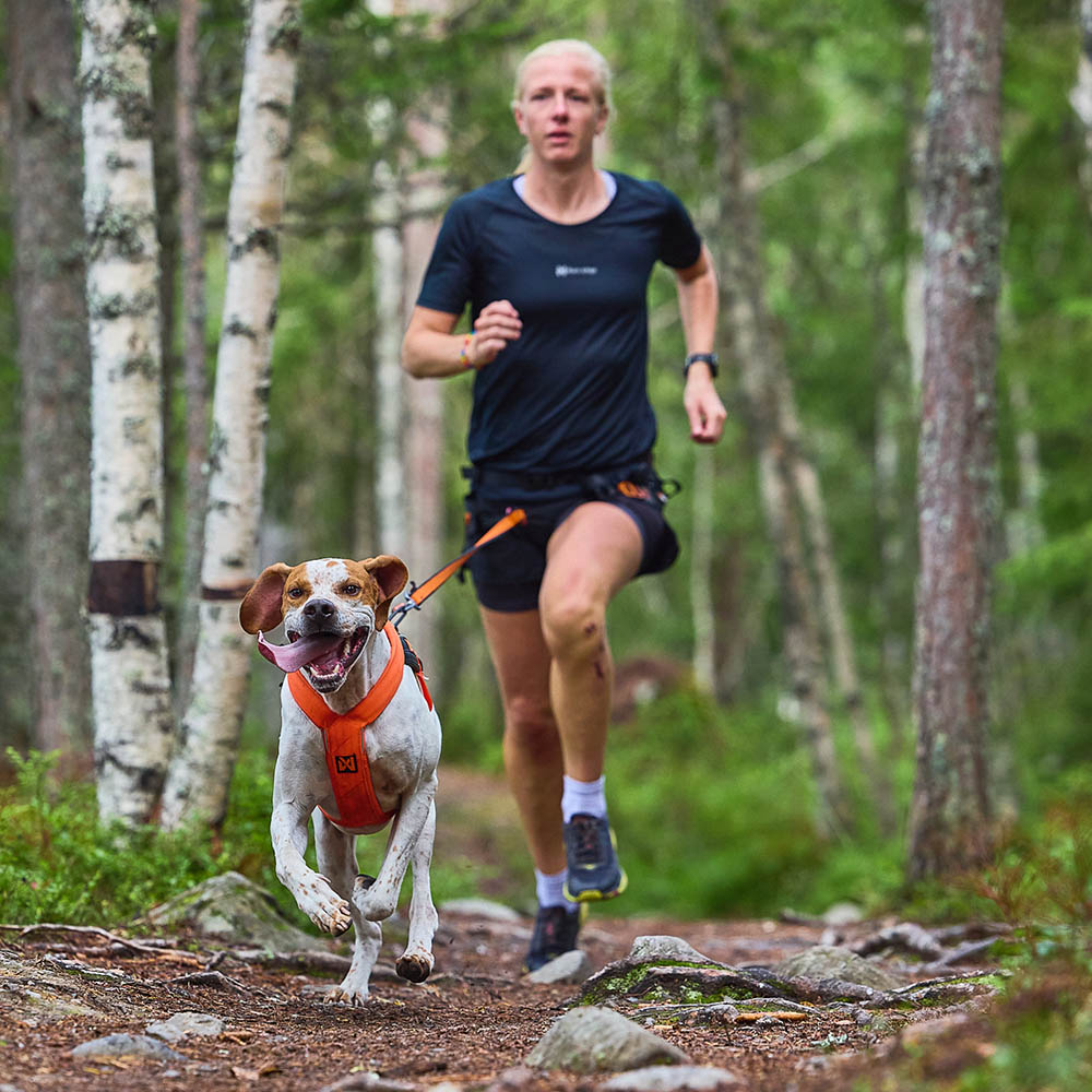 Springpaket från Non-Stop låt hunden dra när ni springer