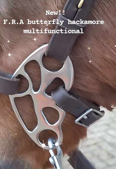 Hackamore Handles Star Wheel F.R.A.© Butterfly, 115 mm, silver - 2