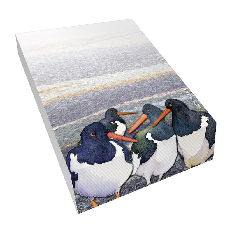 Slantpads Oyster catchers