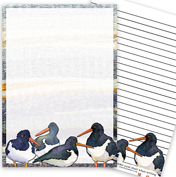 A5 Anteckningsblock Oystercatcher