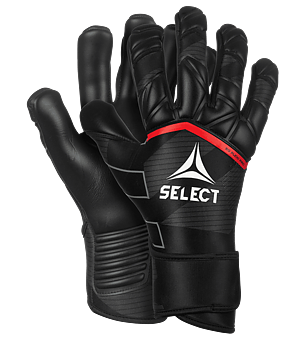 Select 90 Flexi Pro v24