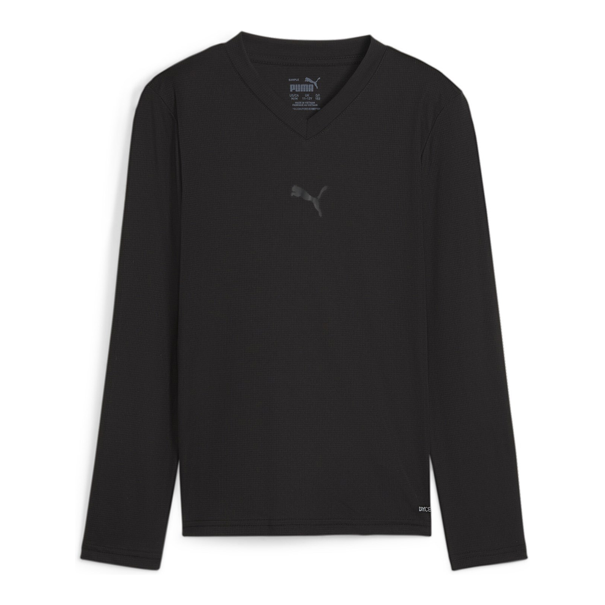 Puma Teamgoal Baselayer Tee Ls SR(Fjälkinge IF)