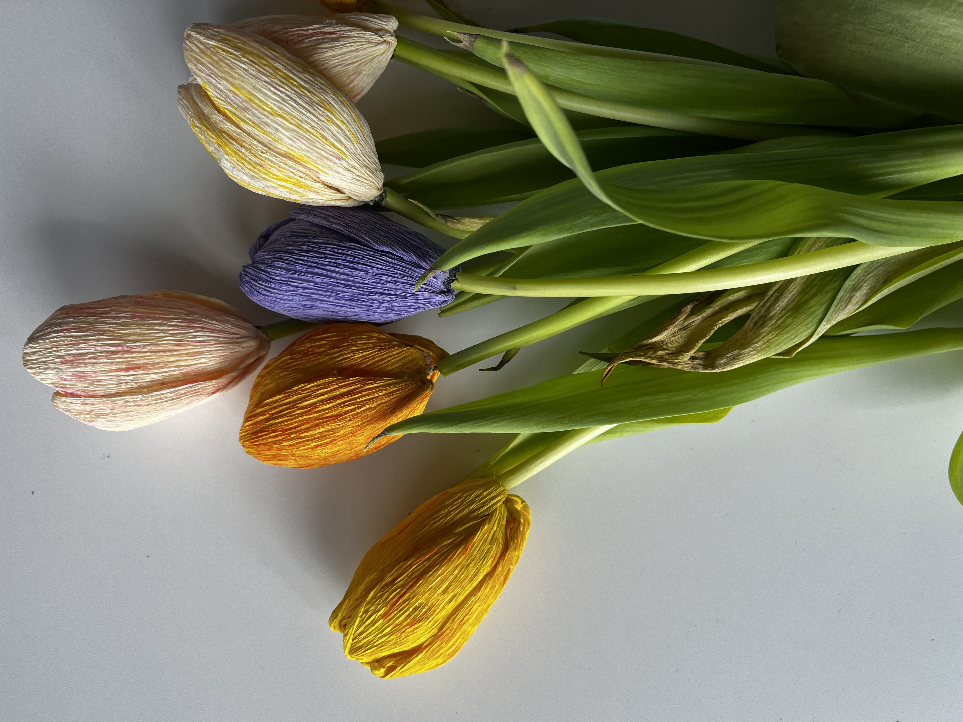 Bild på pappersblommor i form av tulpaner