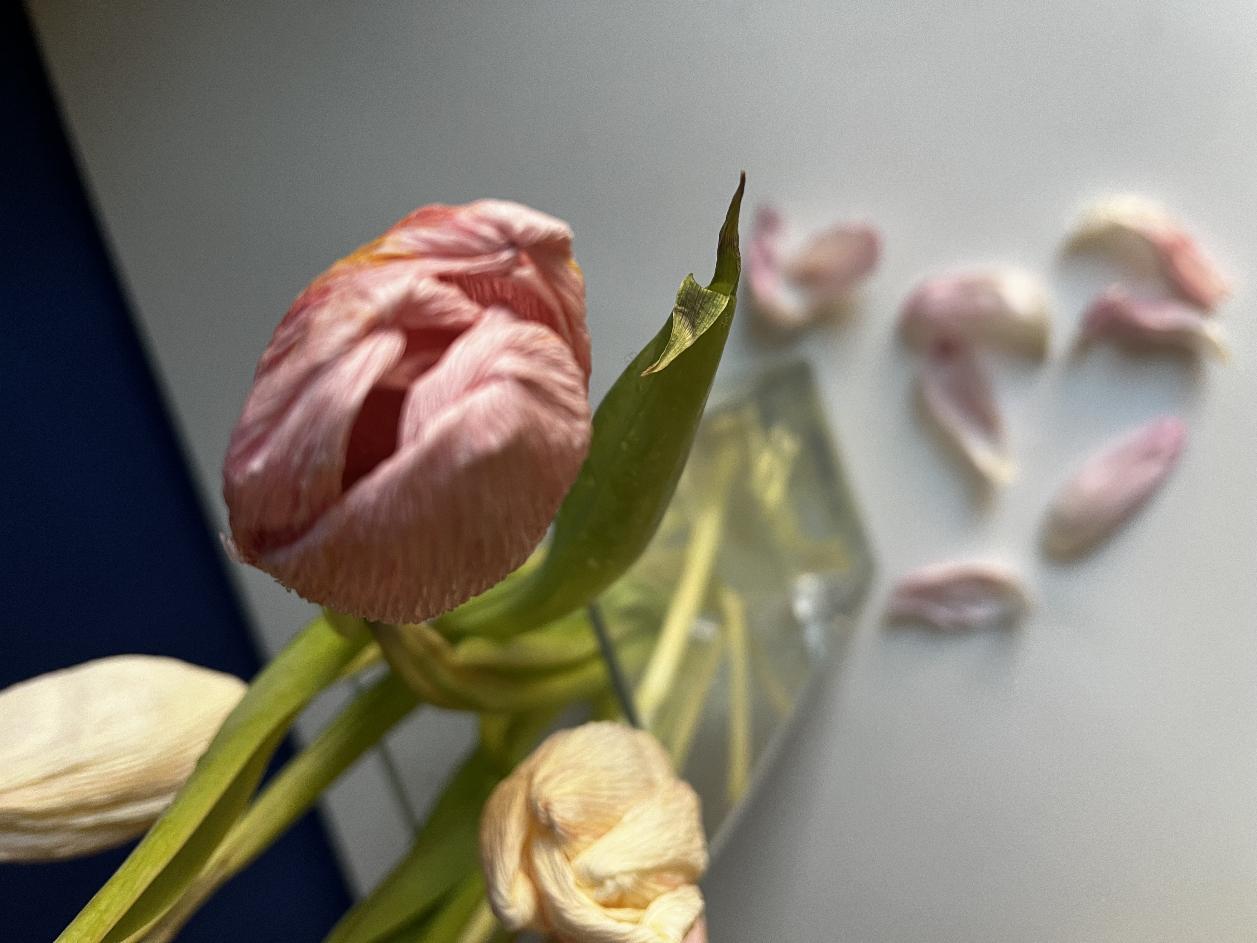 Bild på pappersblommor i form av tulpaner