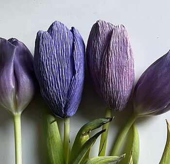 Bild på pappersblommor i form av tulpaner