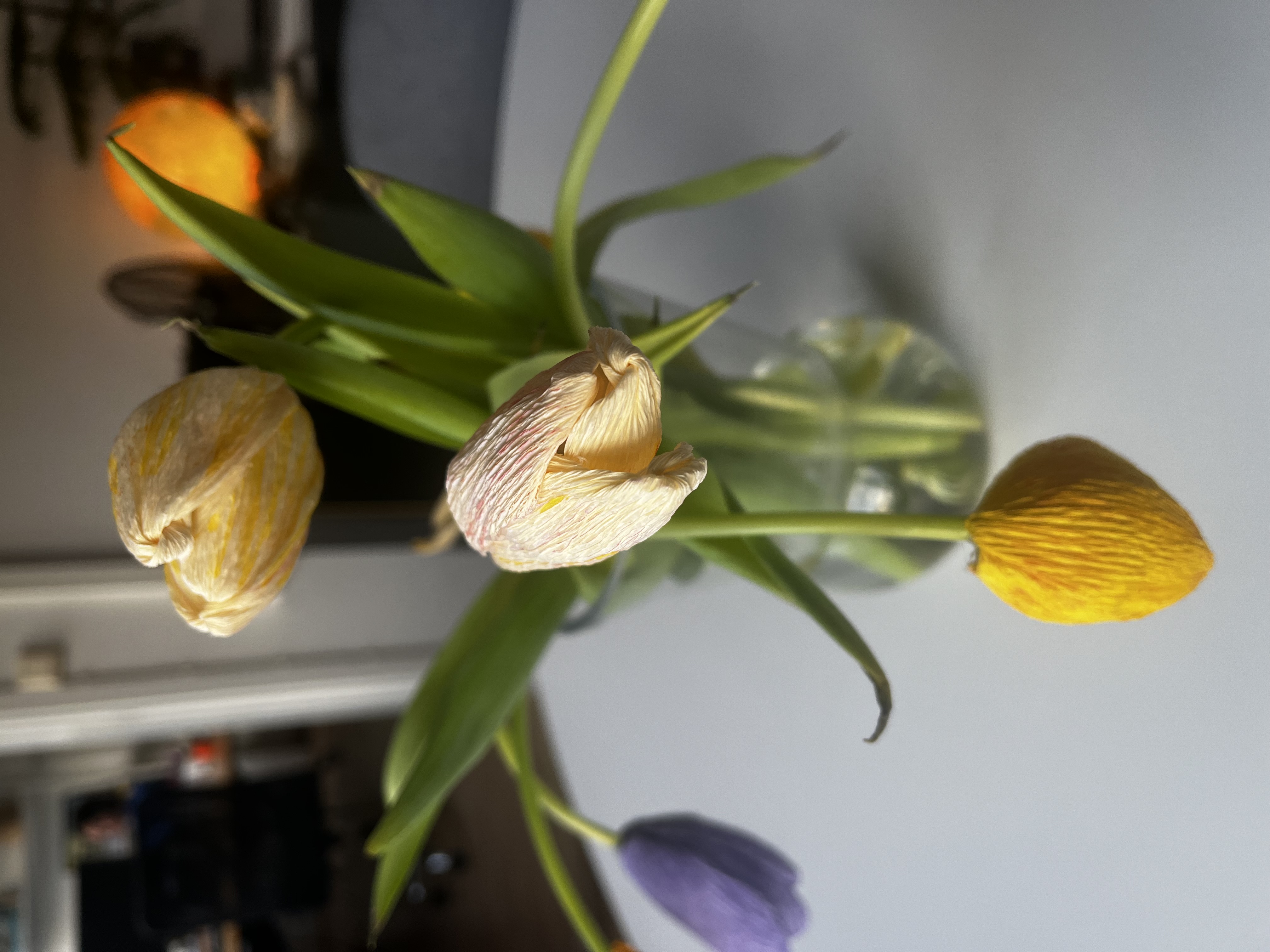 Bild på pappersblommor i form av tulpaner